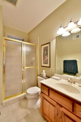 Basement three quarter bath, handy for showering off after hot tubbing in backyard cabin.