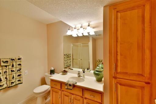 Basement three quarter bath, ideal for showering off after hot tubbing in the back cabin.