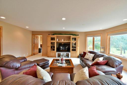 Spacious basement family room overlooking wooded backyard, recessed lighting, custom up/down blinds for natural lighting with privacy.