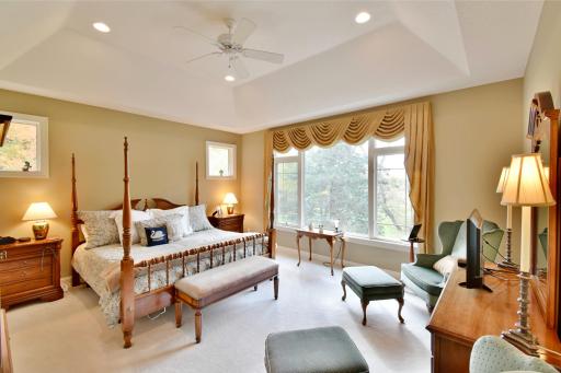 Primary bedroom on main level with tray ceiling, recessed lights, tall windows overlooking back yard.