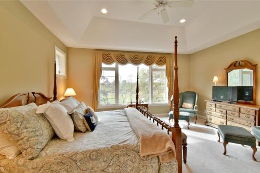 Primary bedroom on main level with tray ceiling, recessed lights, tall windows overlooking back yard.