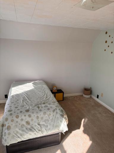 Photo for 824 Main St S, Chatfield, MN 55923 - Listing #6647077 824 Main St S, Chatfield, MN 55923