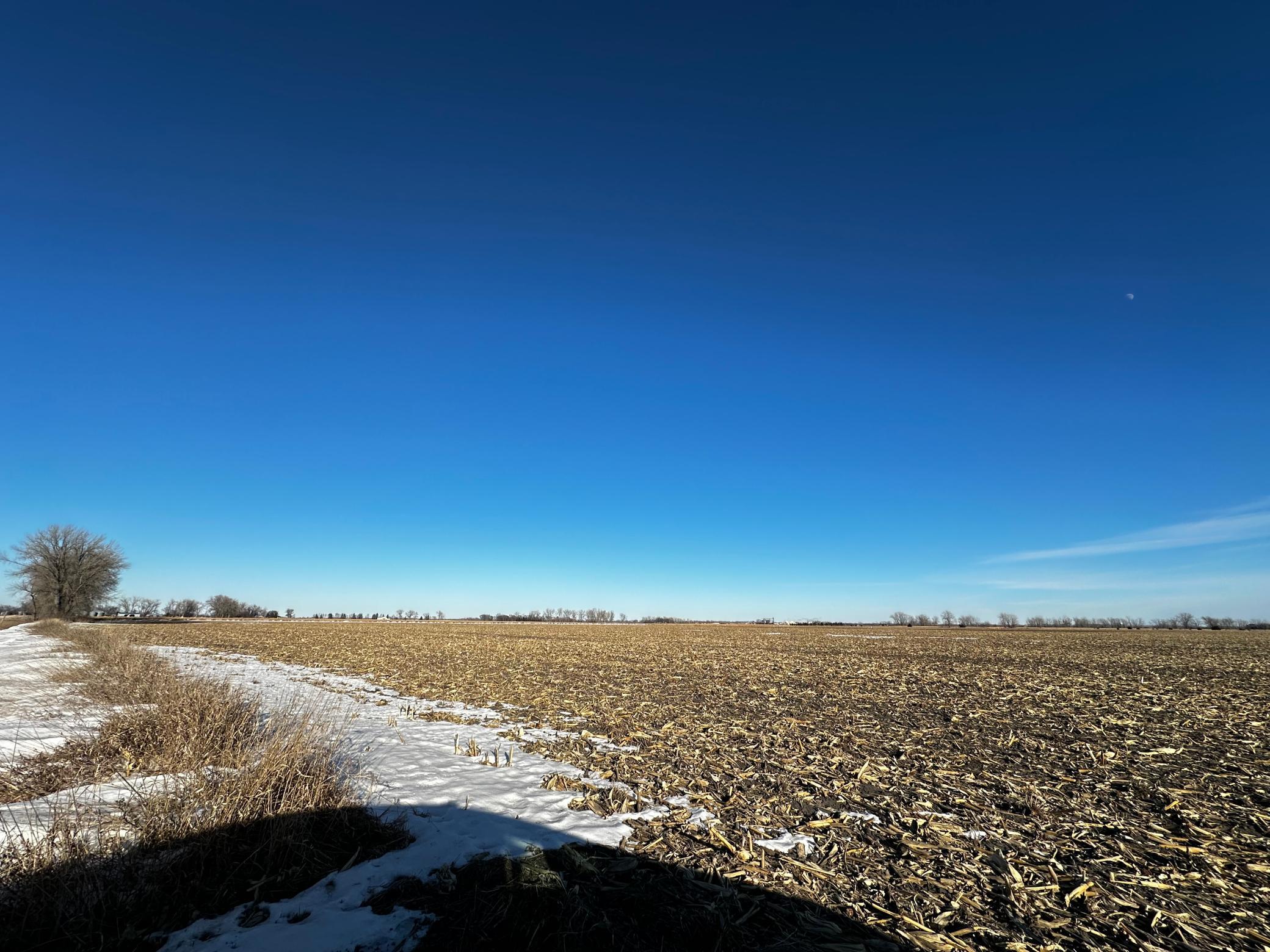 IMG_8926.JPG