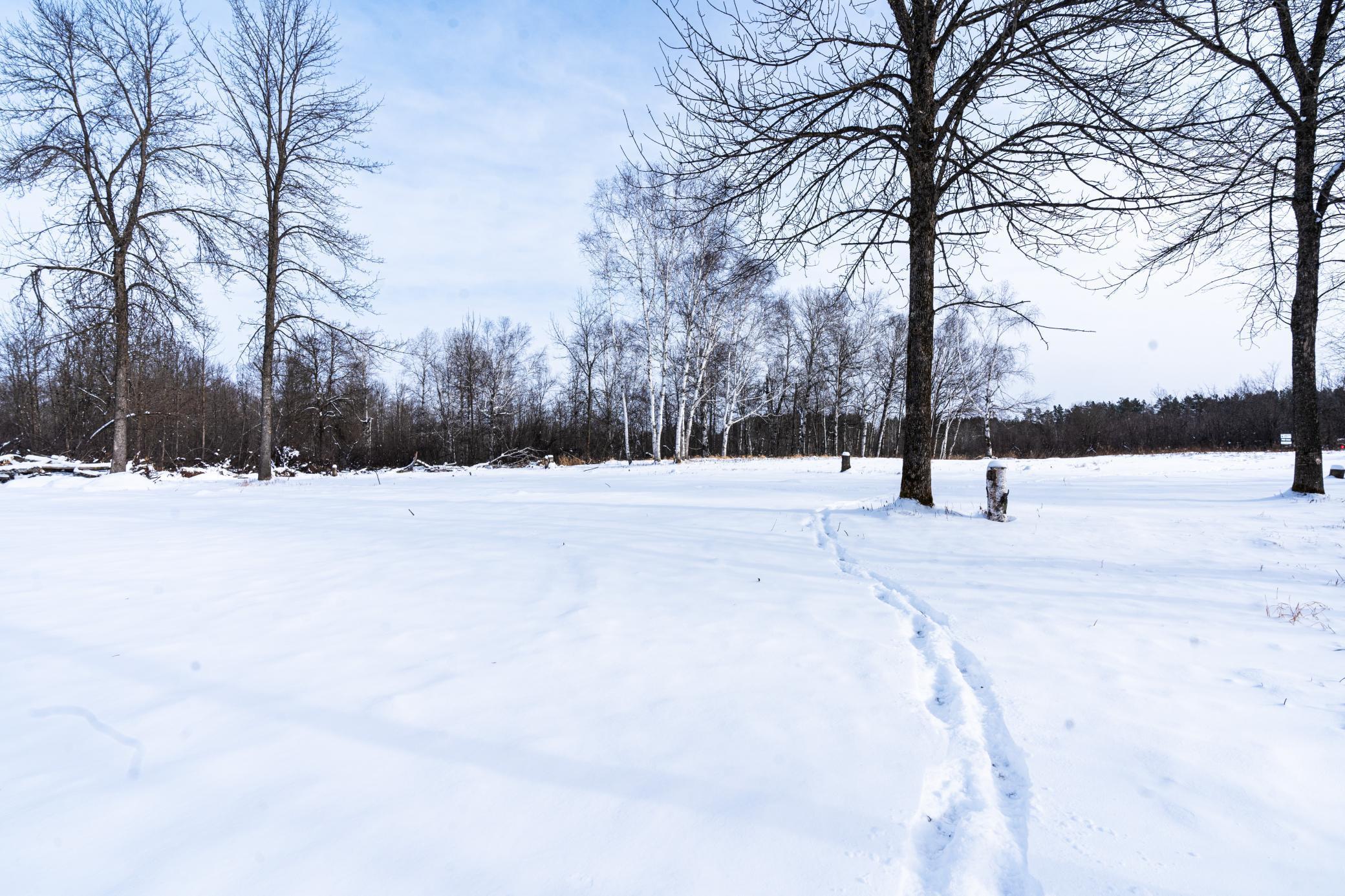 Camp ground road view.jpg