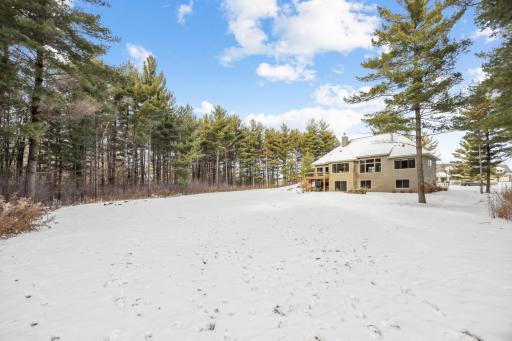 Ultimate private yard with majestic pines.