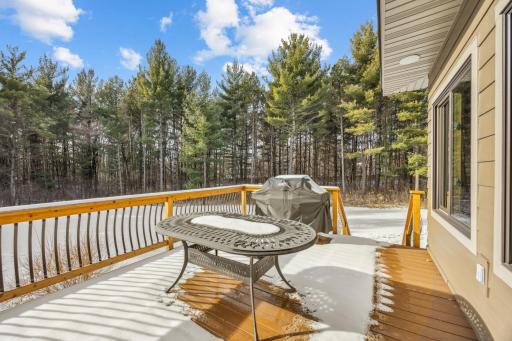 Maintenance free deck off of kitchen dining area.