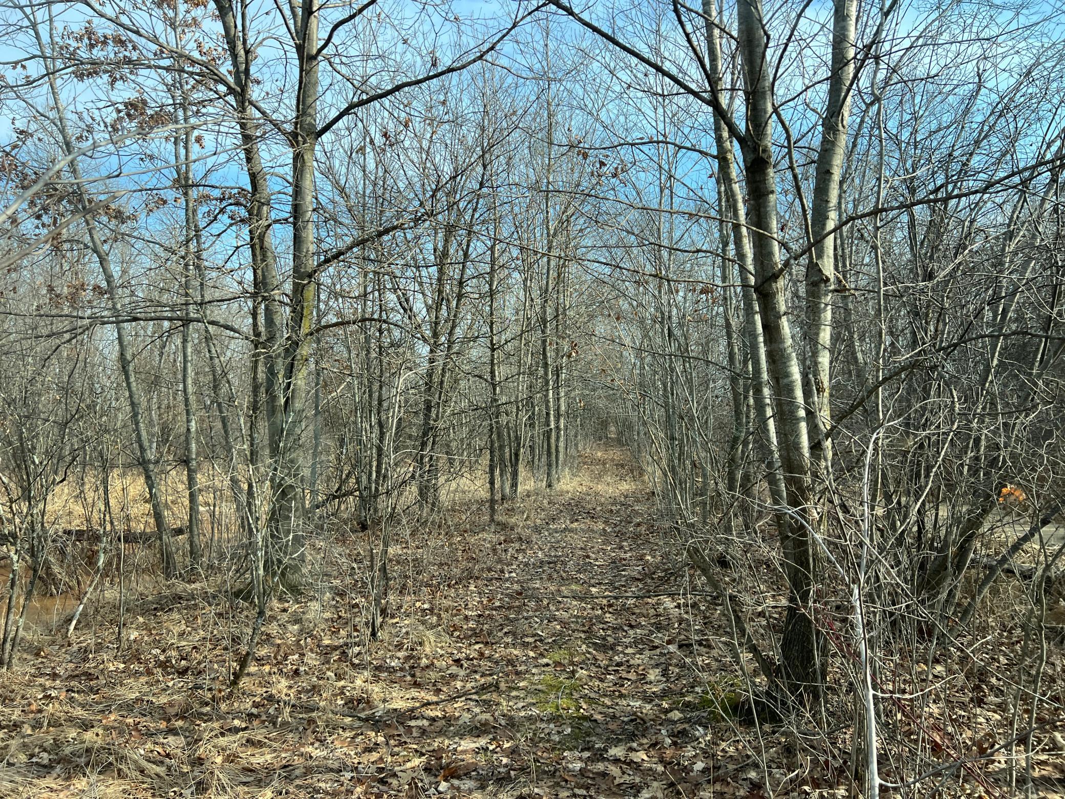 IMG_6403.JPG