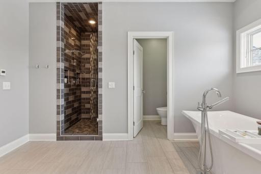 Water closet and shower