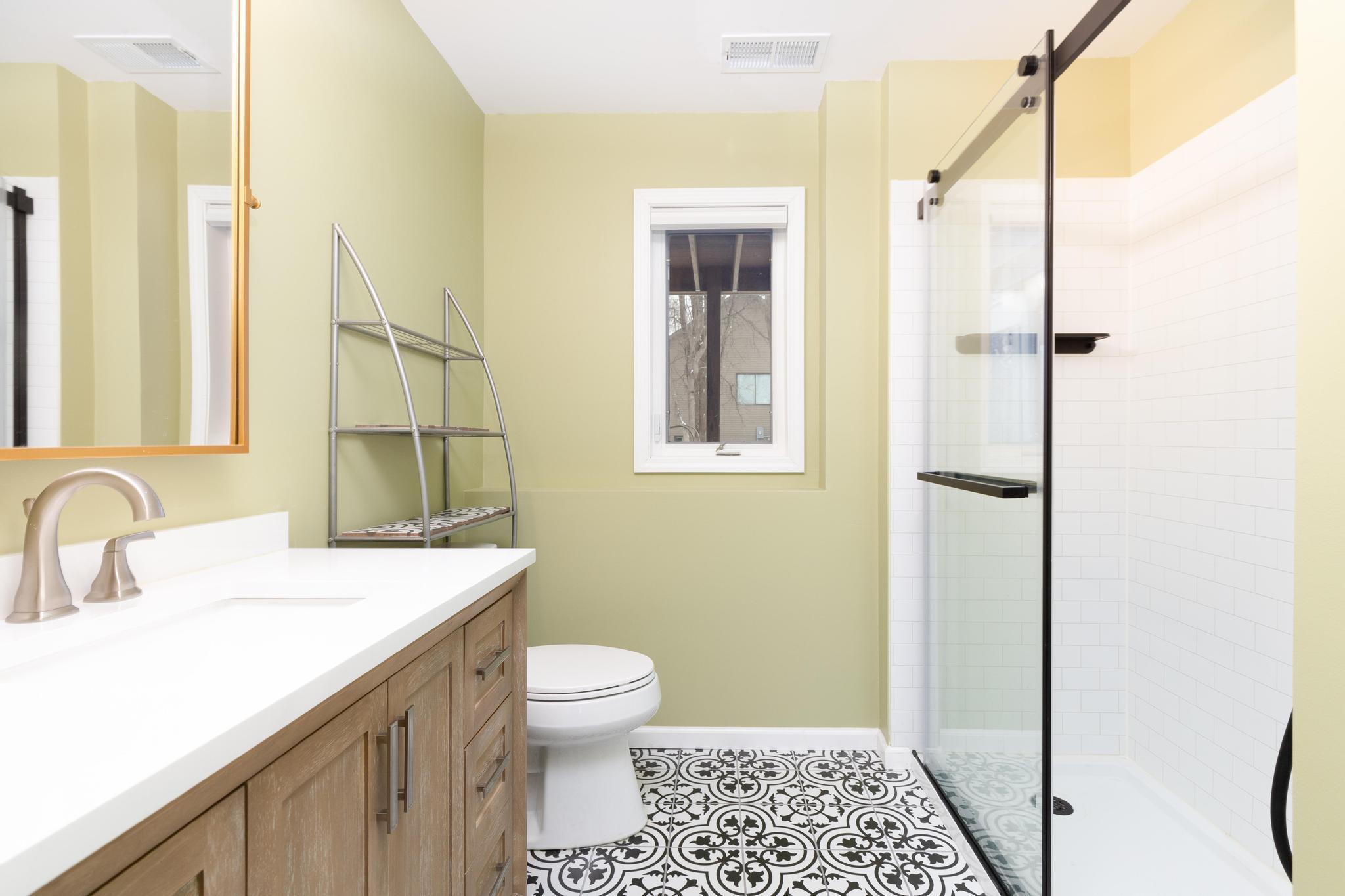 Lower level bathroom