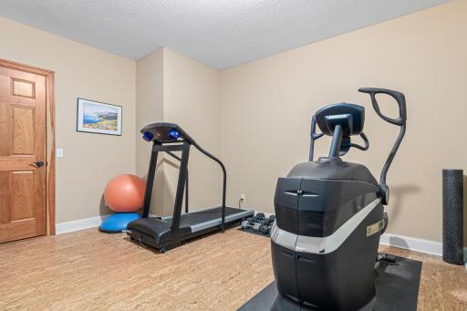No need for a gym membership with this well-equipped exercise room featuring cork flooring and plenty of space to move around, plus a large storage closet for added convenience.