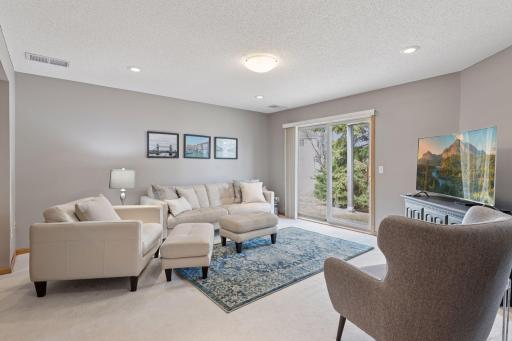 Lower level family room walks out to backyard