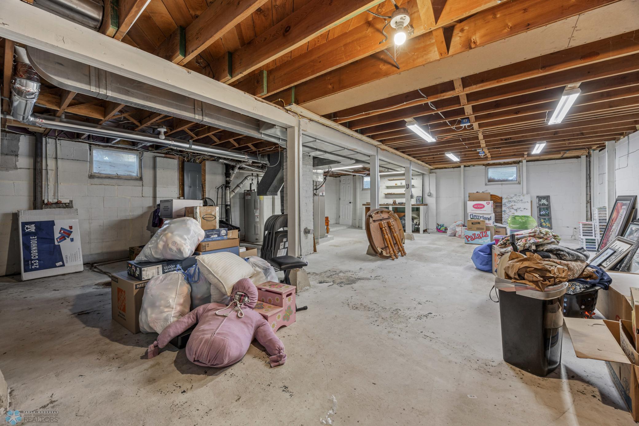 Unfinished Basement