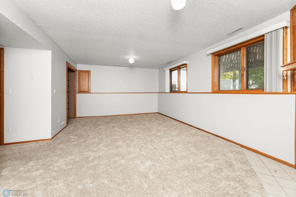 Lower level Family Room
