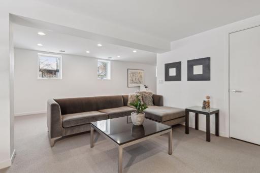 Lower level family room, walks out to patio overlooking backyard
