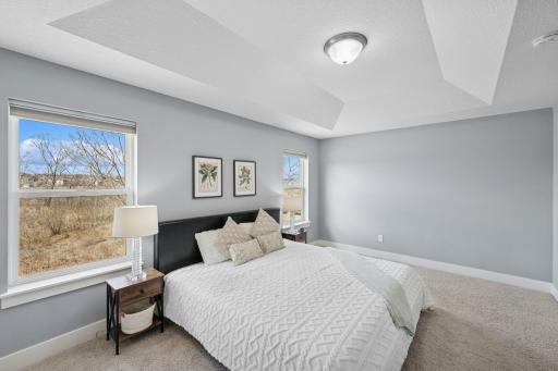 Note the tray vaulted ceiling in the primary bedroom.