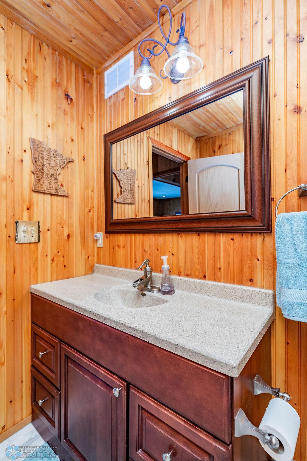 Lower level bathroom