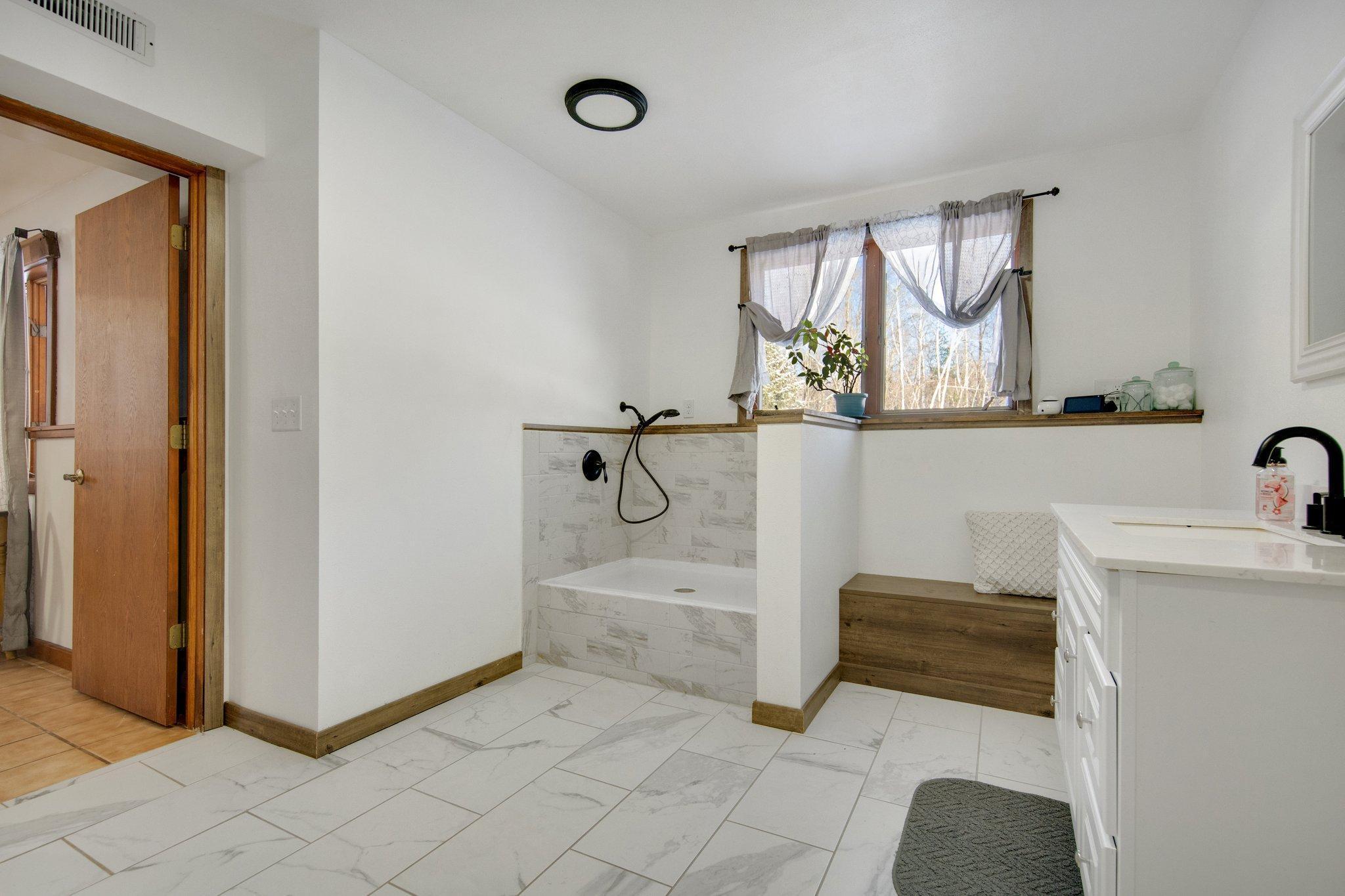 Remodeled lower level bathroom with dog washing station!