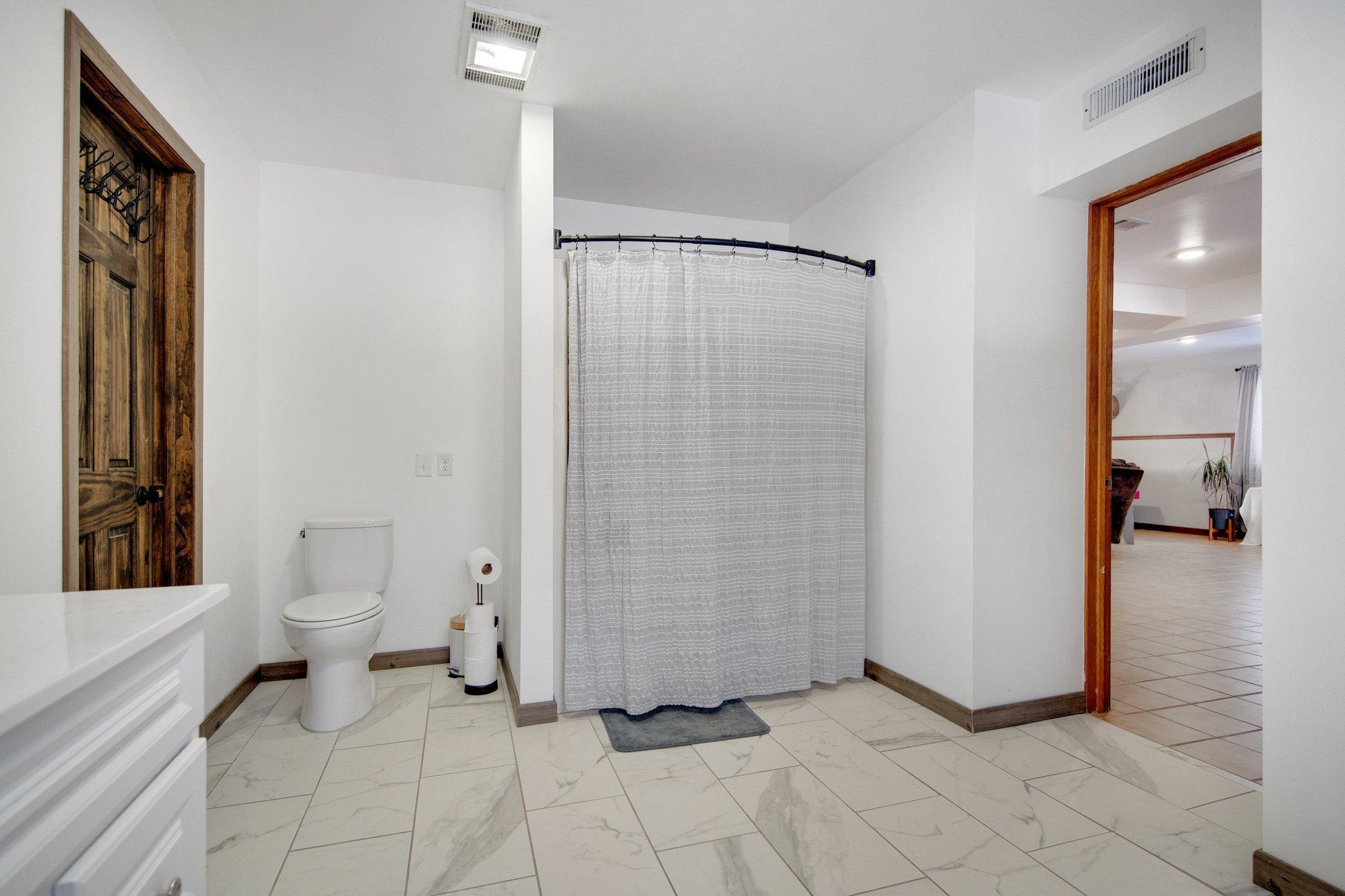 Lower level bathroom.