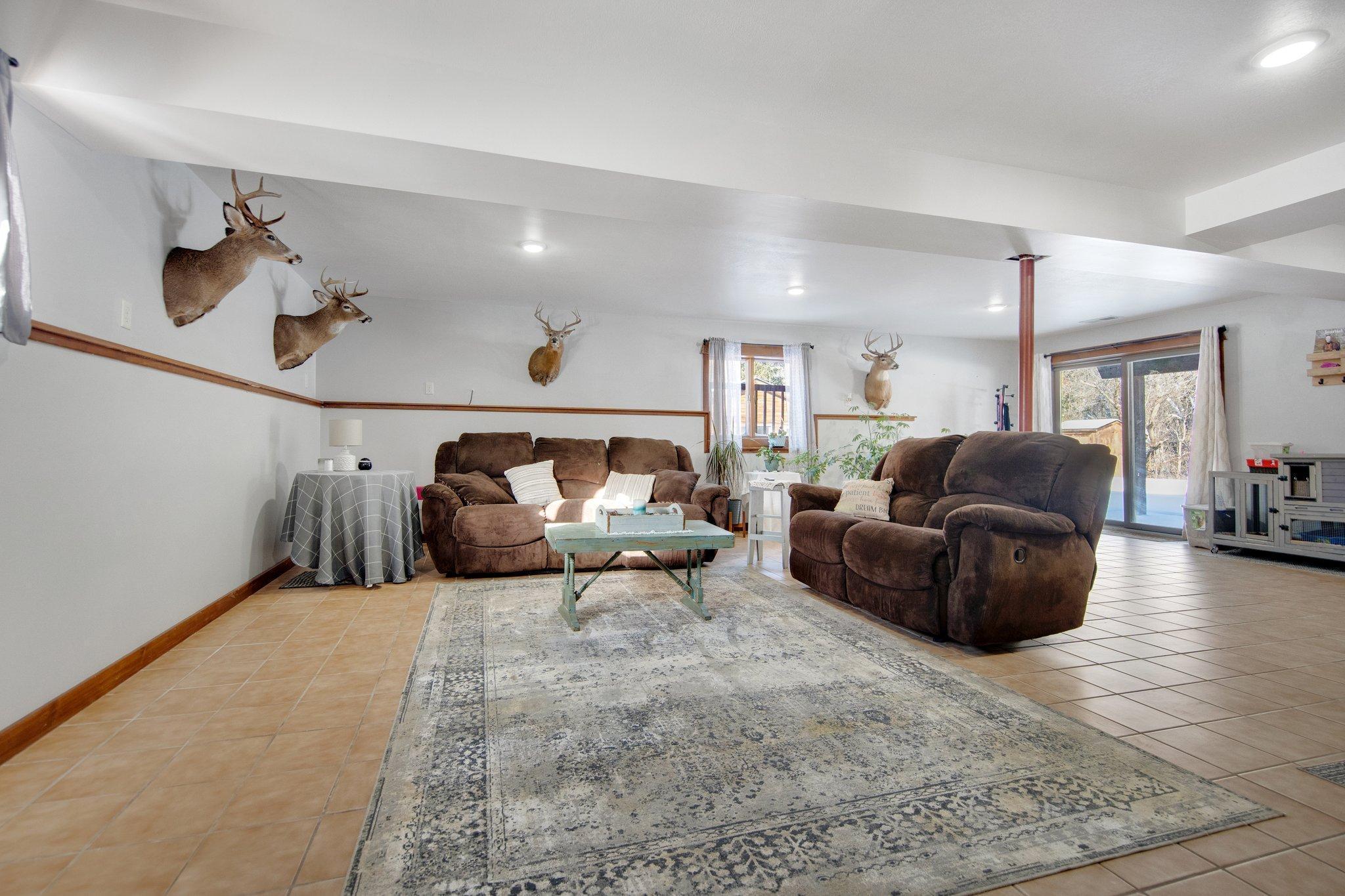 Lower level family room. Conveniently walks out to the yard!