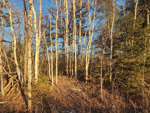 xx Larson Road, Esko, MN 55733