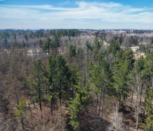 xx Larson Road, Esko, MN 55733
