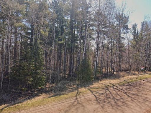xx Larson Road, Esko, MN 55733