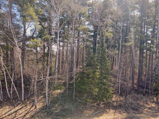 xx Larson Road, Esko, MN 55733