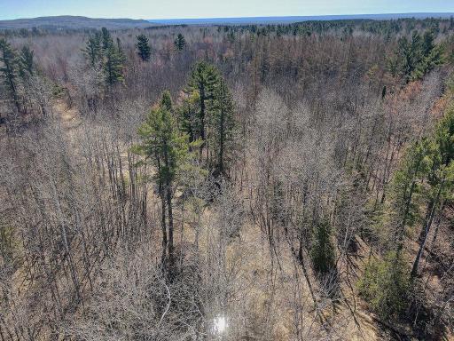 xx Larson Road, Esko, MN 55733