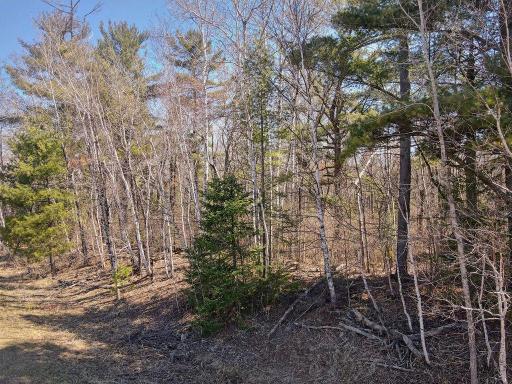 xx Larson Road, Esko, MN 55733