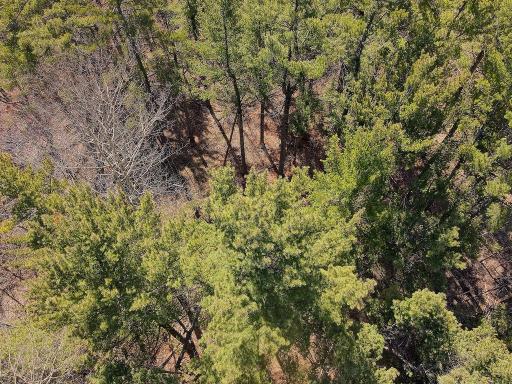 xx Larson Road, Esko, MN 55733