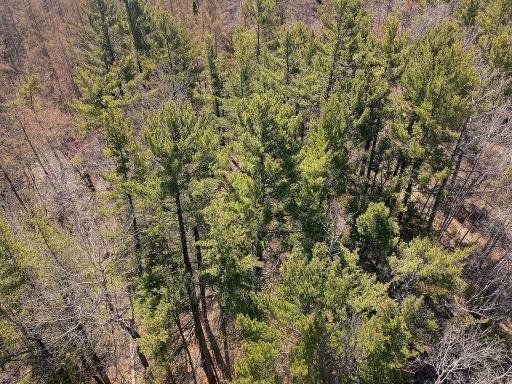 xx Larson Road, Esko, MN 55733