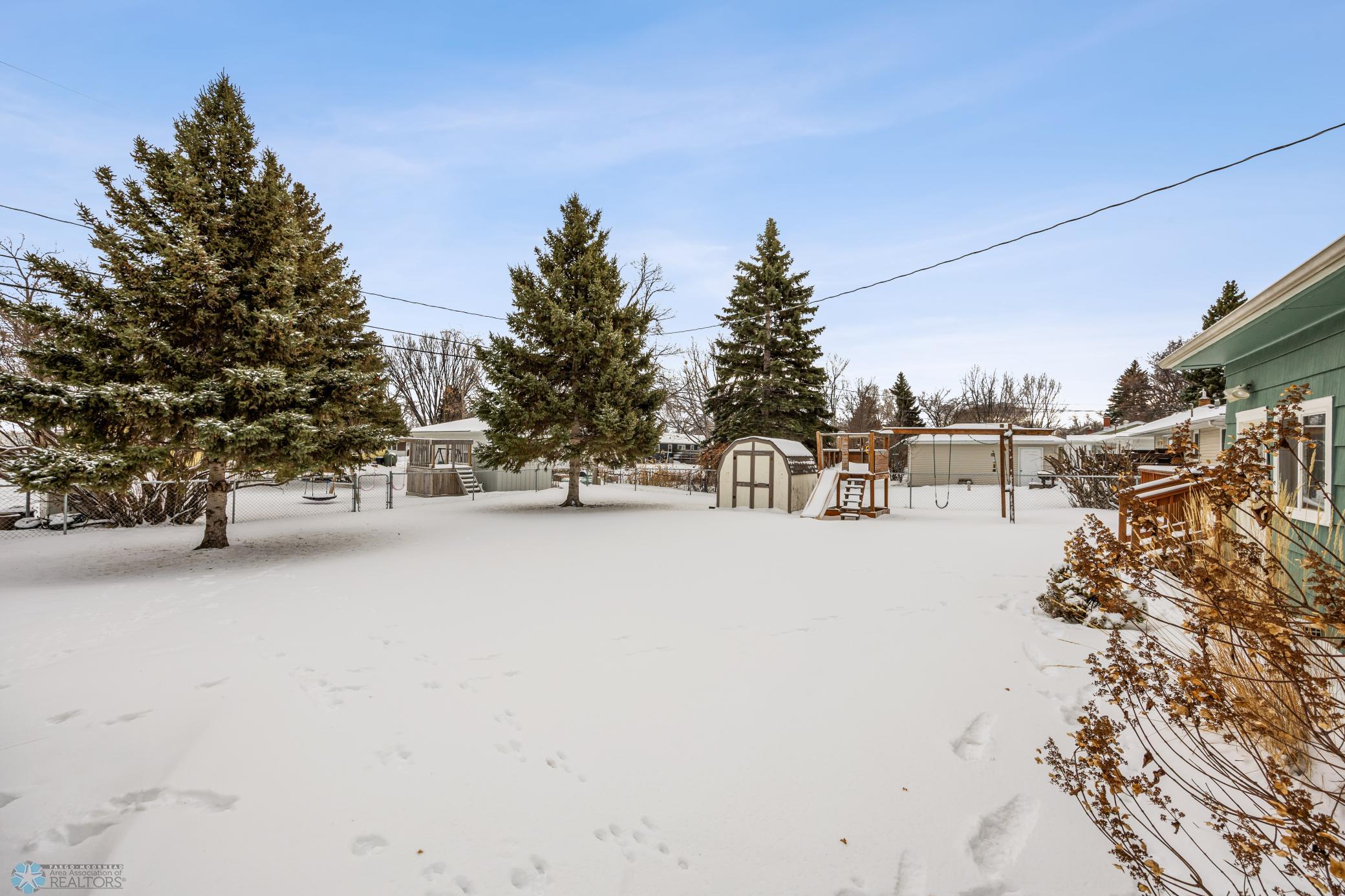 BACK YARD 2.jpg
