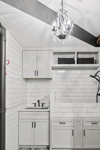 the most luxurious dog spa complete with dog bath, dog ramp, hand held faucet and chandelier