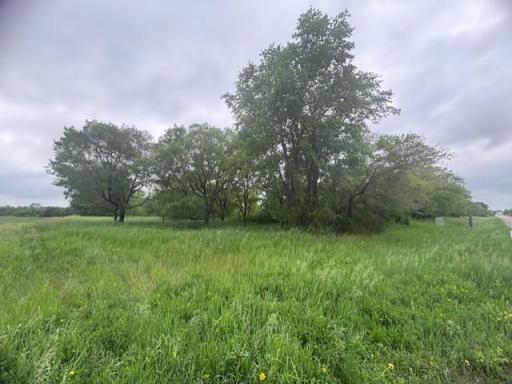 xxx S Broadway, Alexandria, MN 56308