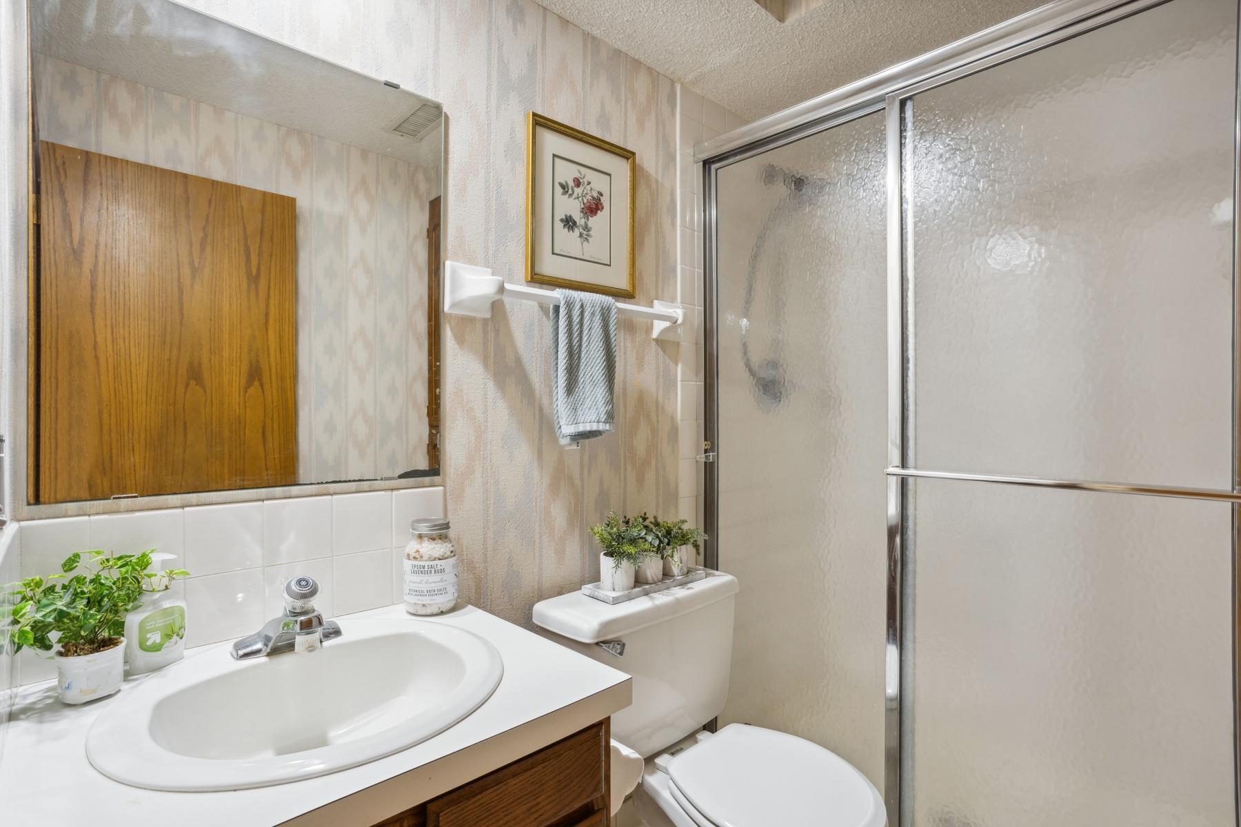 Lower Level Bathroom