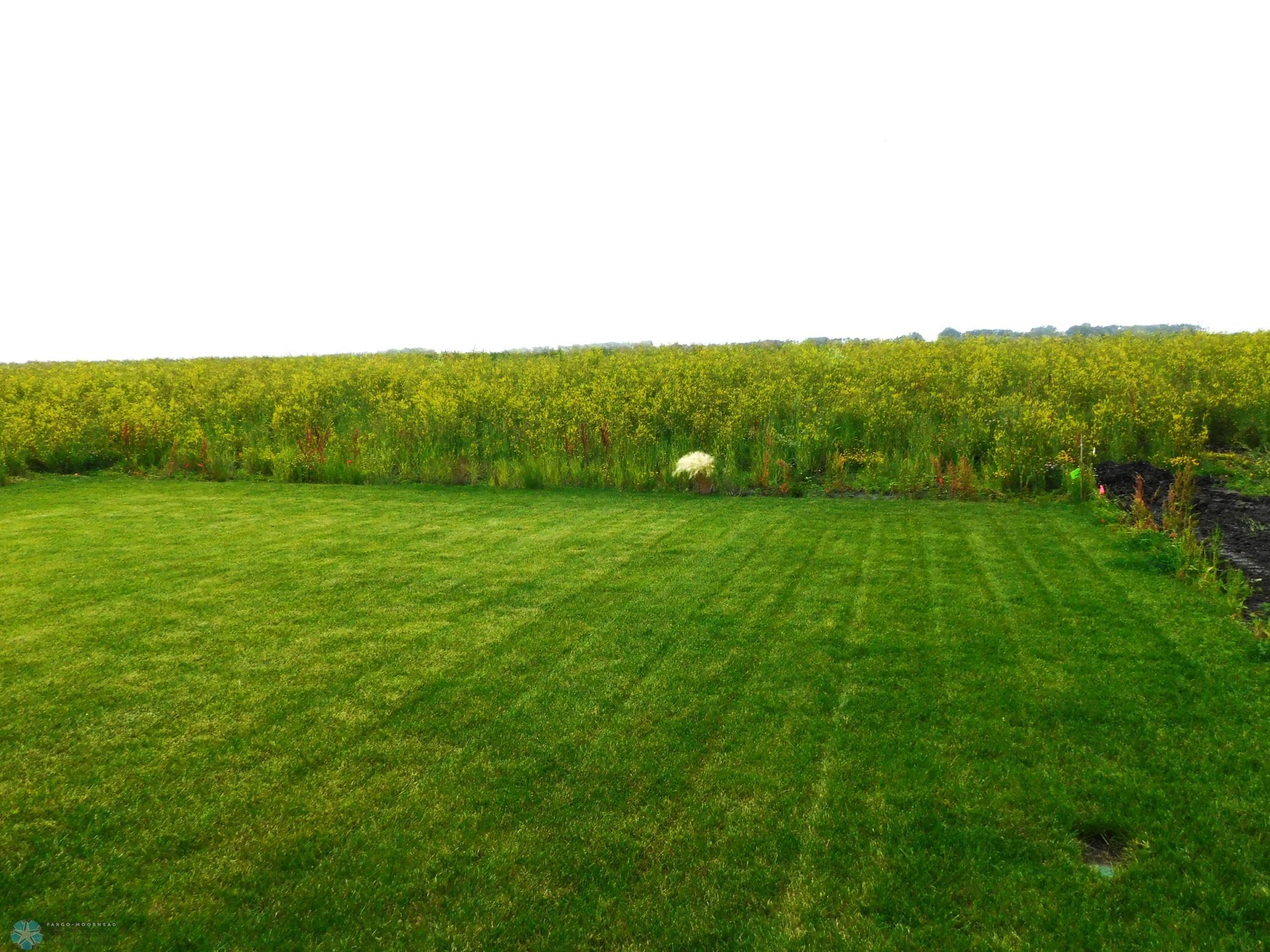 backyard view