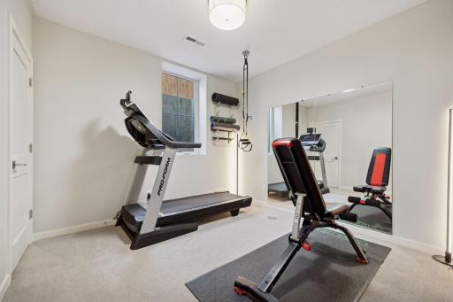 Bedroom #5 - Lower Level (Currently being used as a workout room)