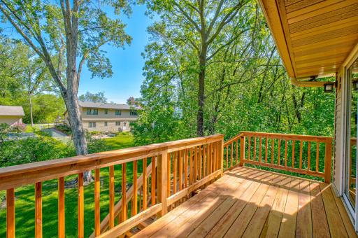 233 Grandview Avenue W, Saint Paul, MN 55113