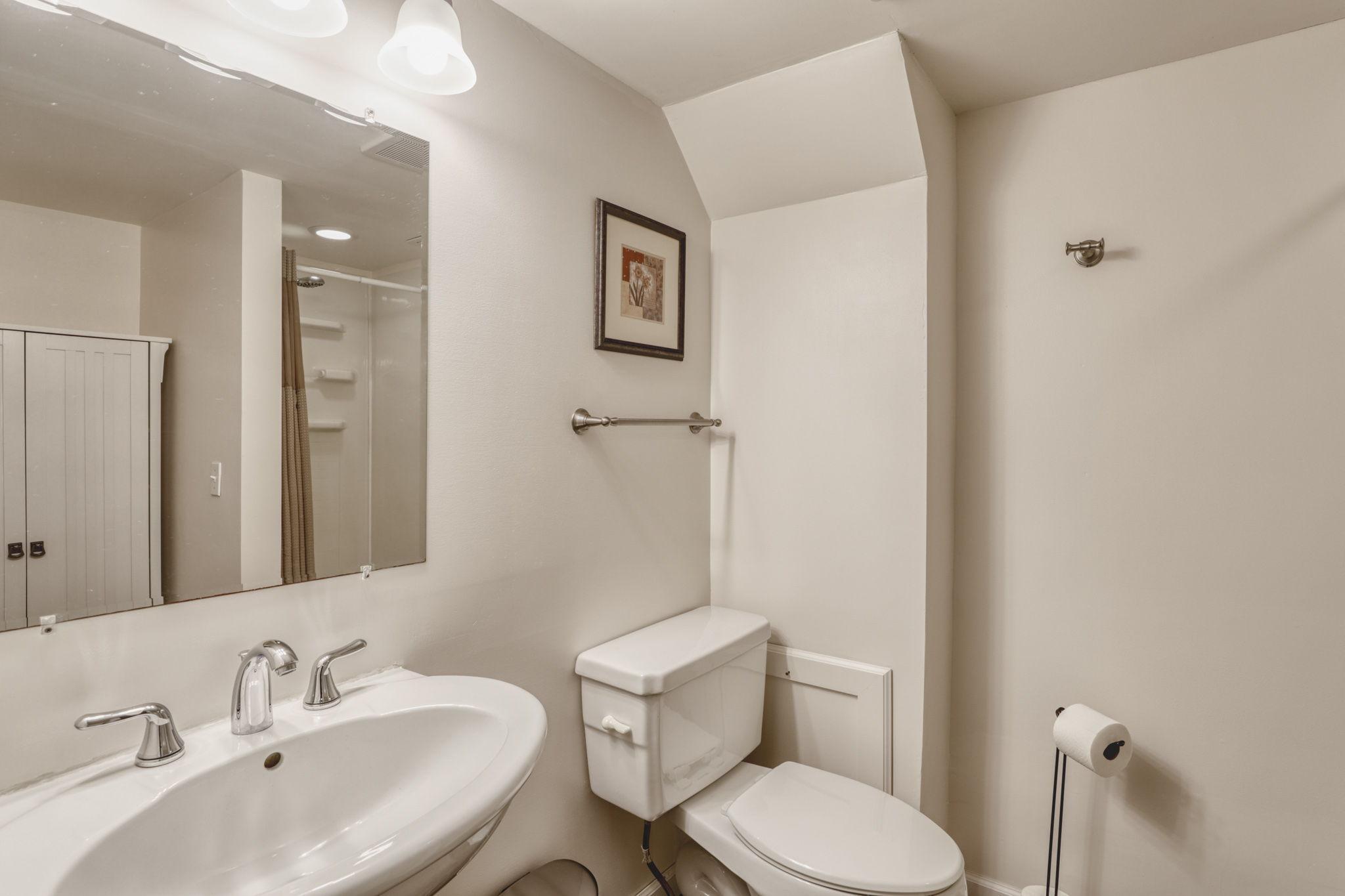 Lower level 3/4 bathroom