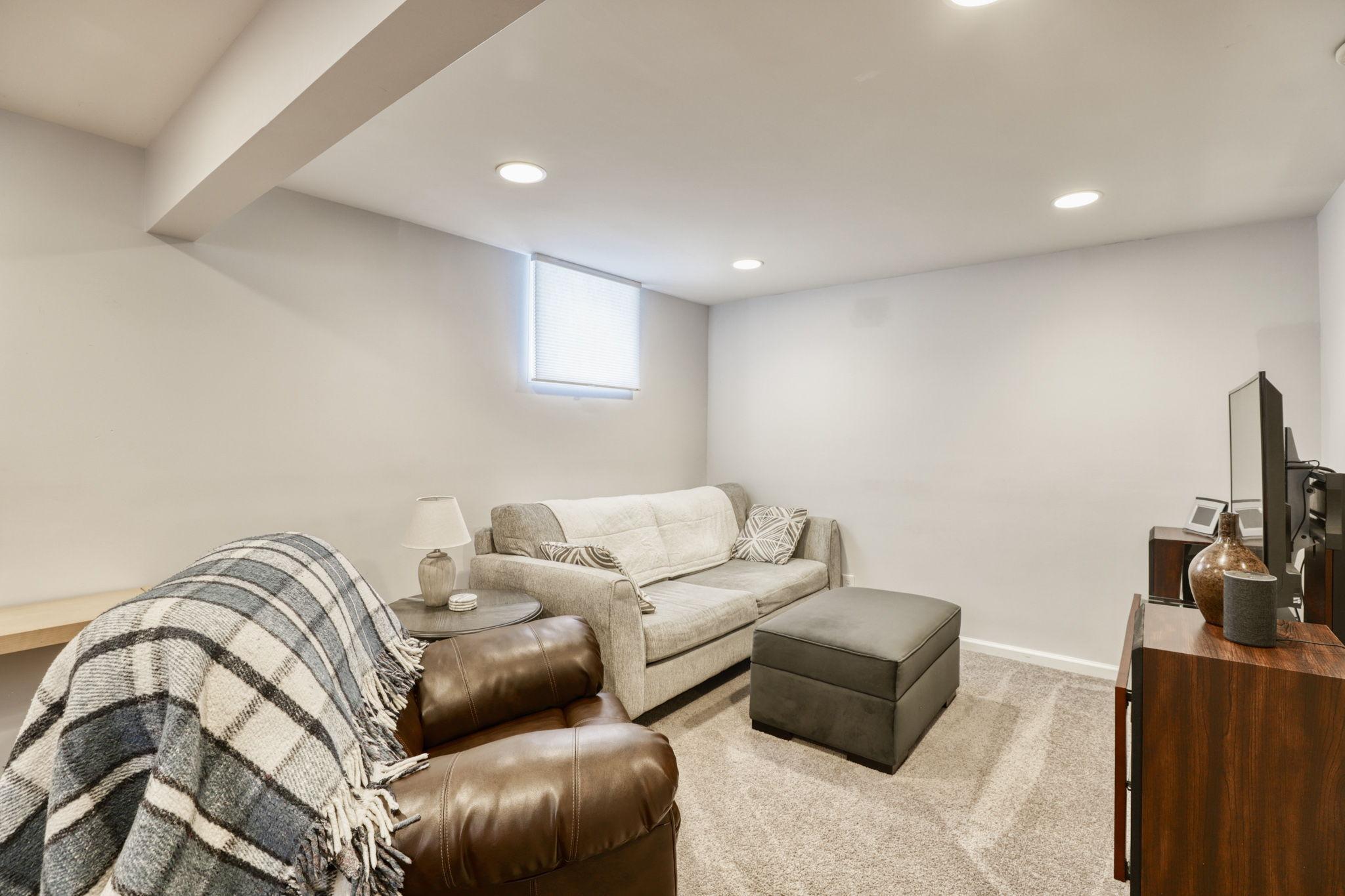 Lower level family room