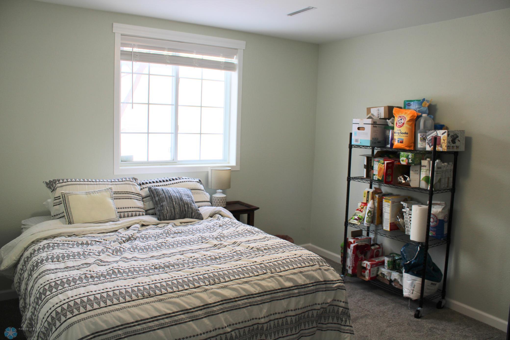 Lower level bedroom