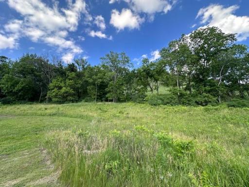 0 Novlan Avenue, Rushford, MN 55971