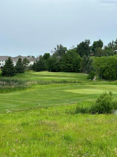 1051 Southwell Enclave NE, Byron, MN 55920