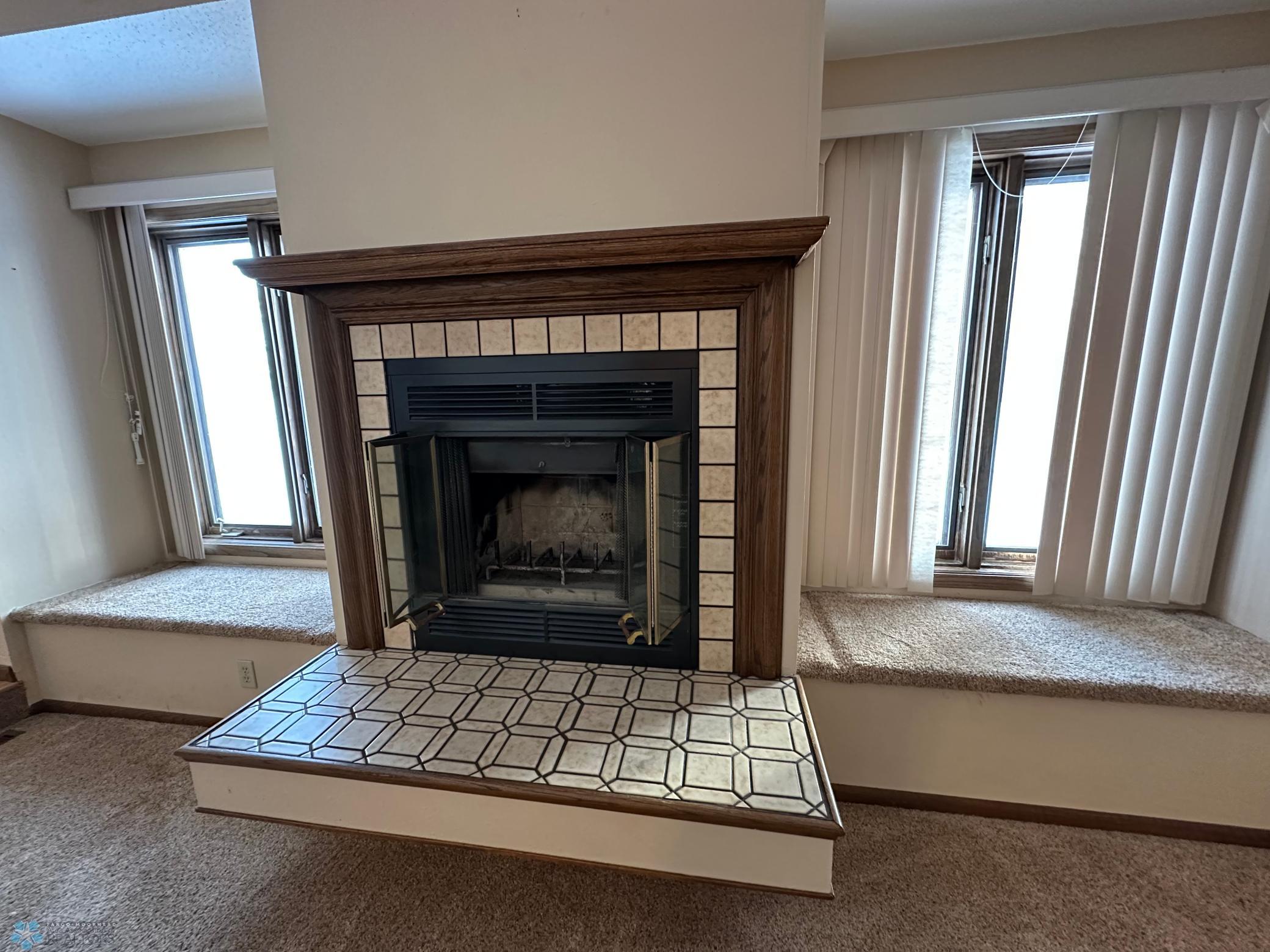 Wood burning fireplace has not been used in years