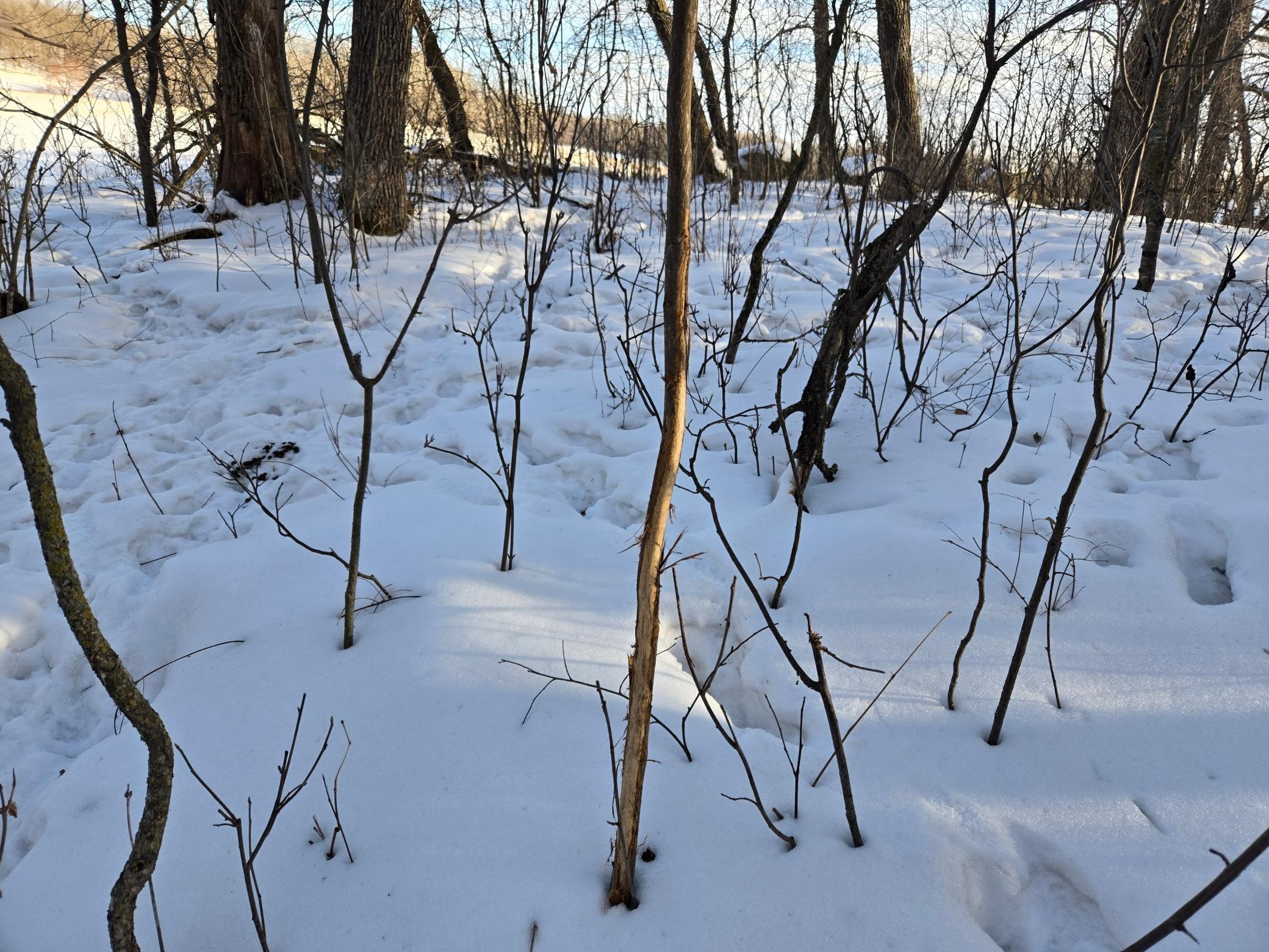 20250128_151322.jpg