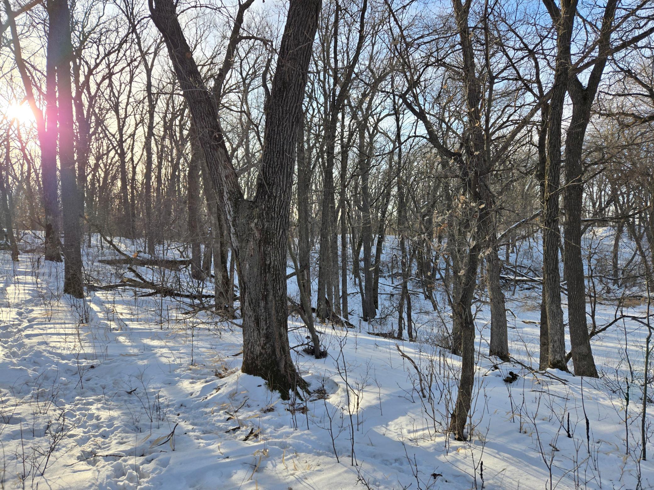 20250128_152123.jpg