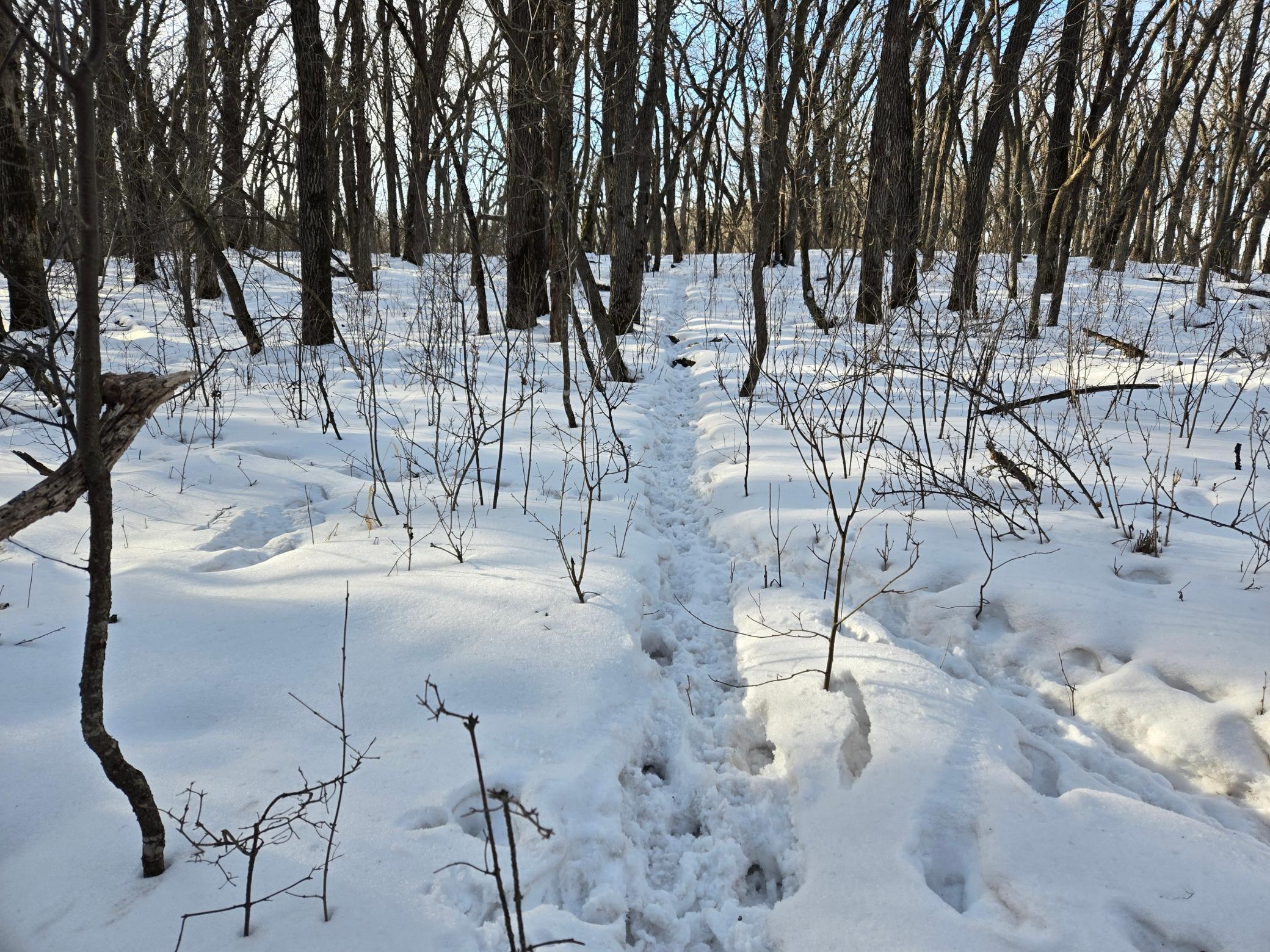 20250128_152507.jpg