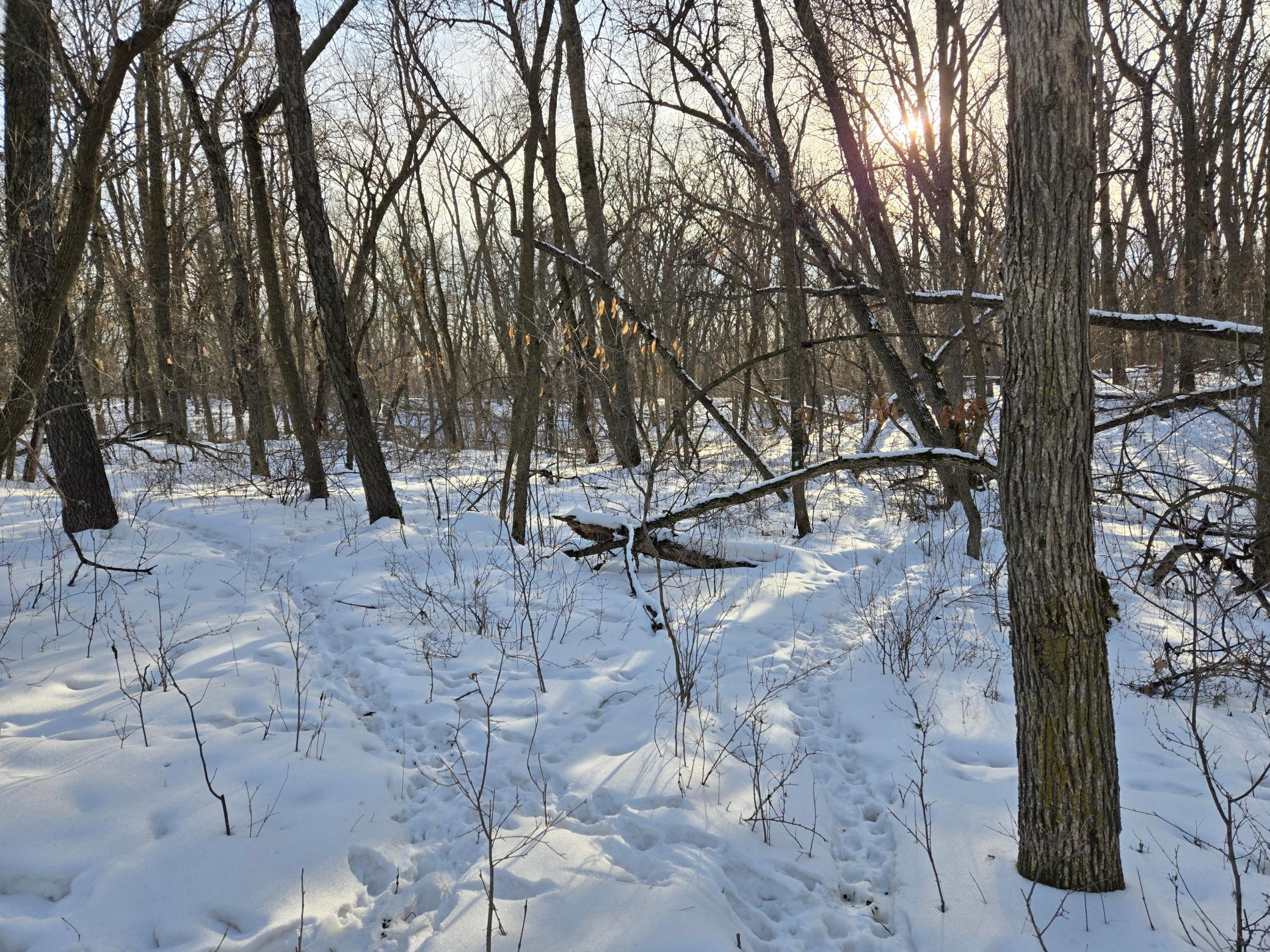 20250128_151433.jpg