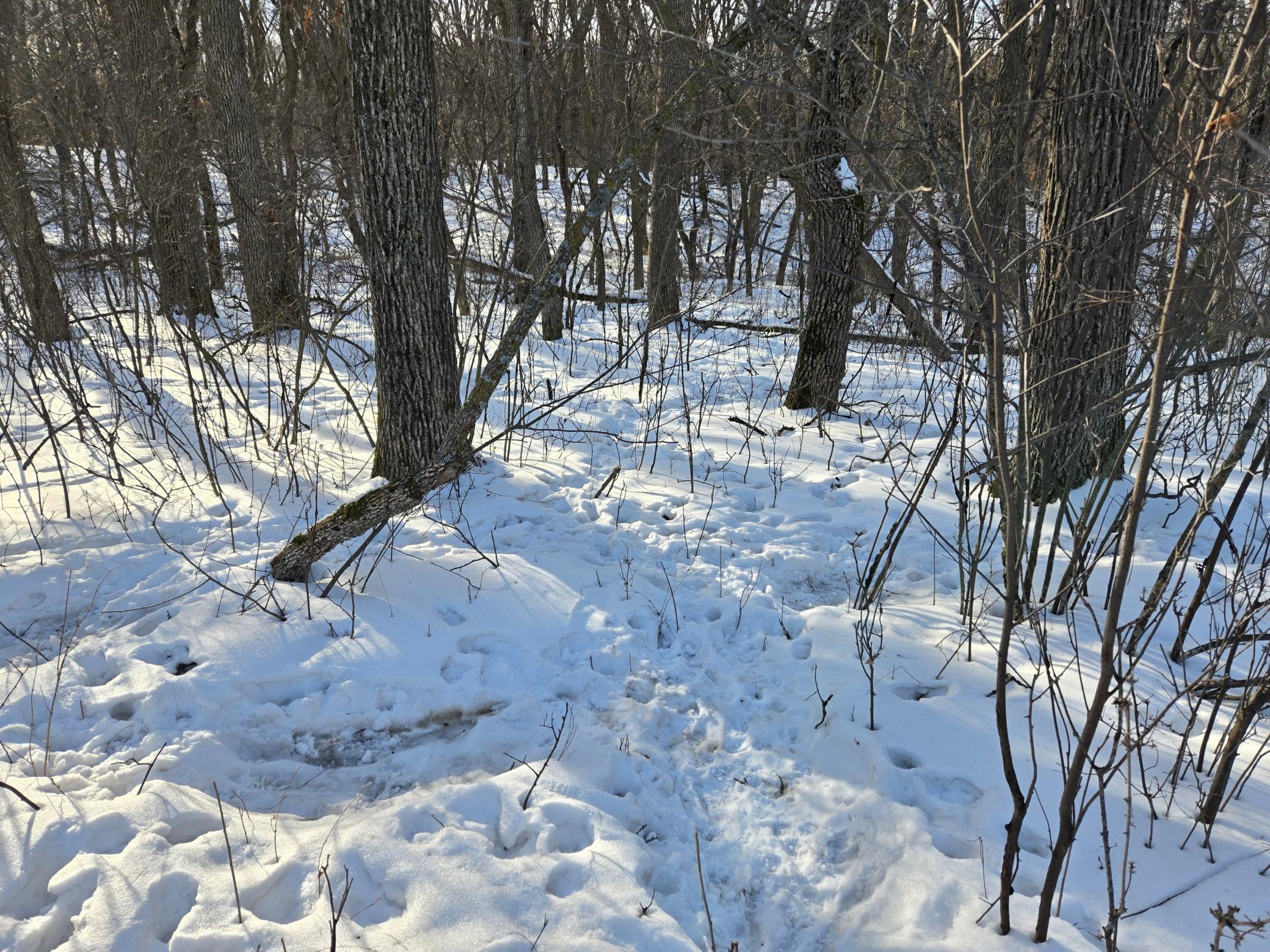 20250128_151219.jpg