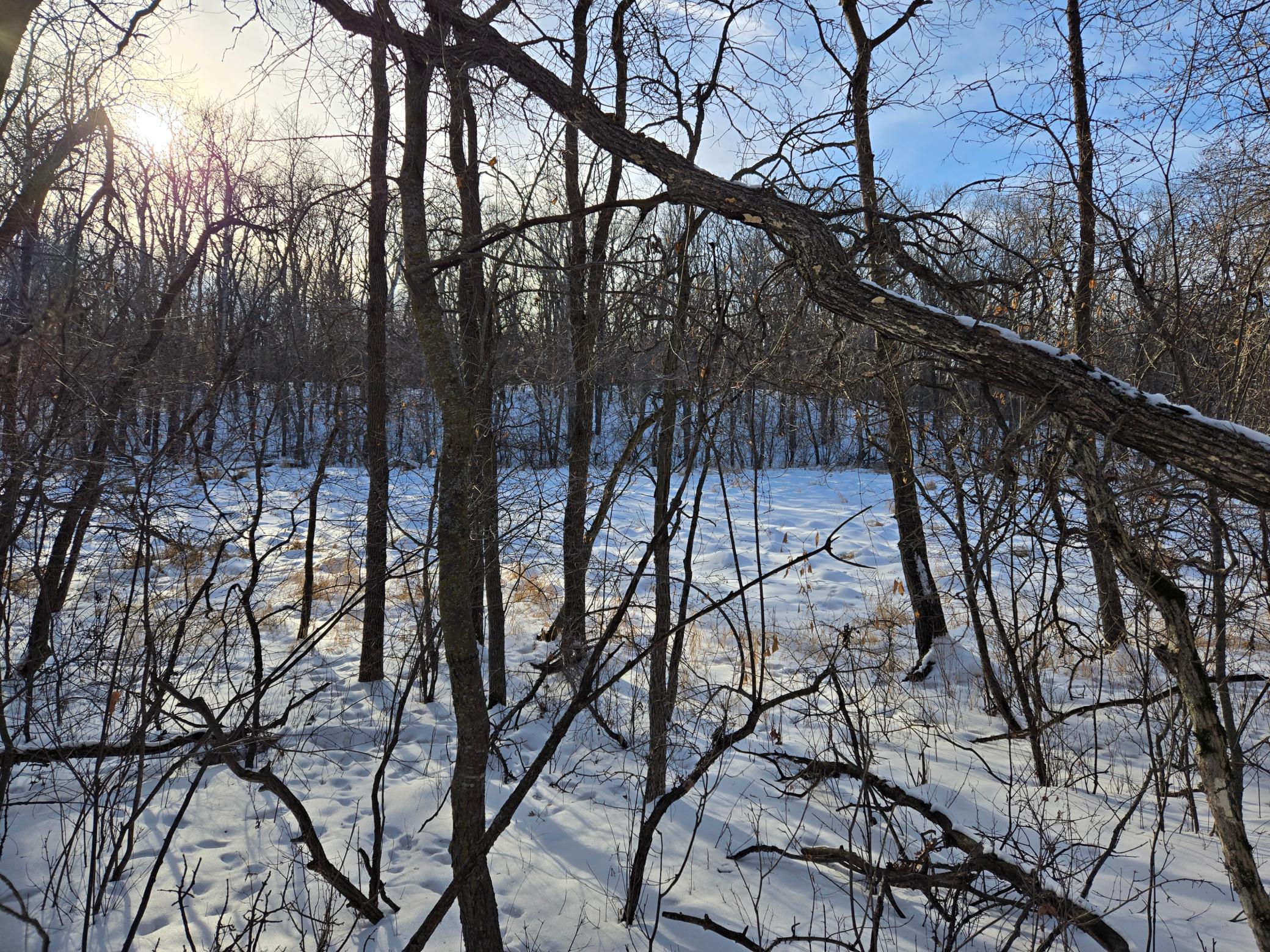 20250128_151818.jpg